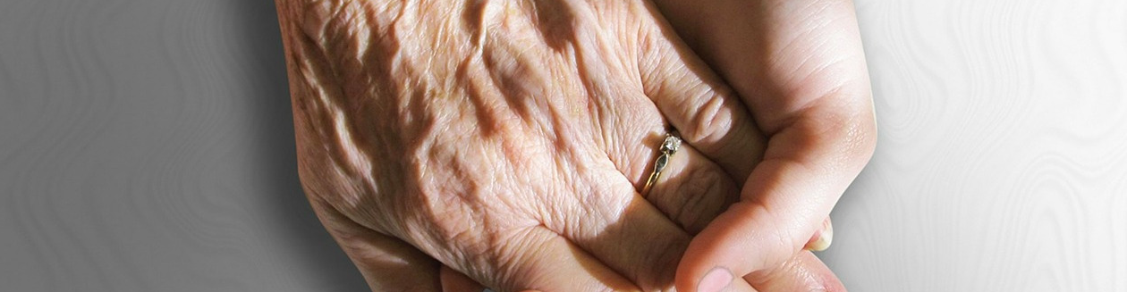 Elderly hand clasped in youthful hand. 